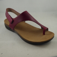 Dansko 6024-045300 Reece Back Strap Thong