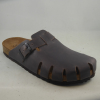 Dragonfly 7506PAR Clog