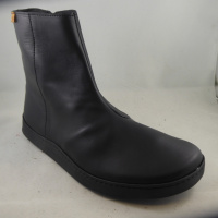 El Naturalista N5918 Origen
