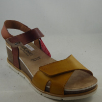 Dorking D9512SAL Gold