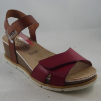 Dorking D9512CAR Gold