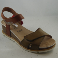 Dorking D9512KAK Gold
