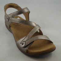 Taos TSBGTM-526-CPLR Big Time