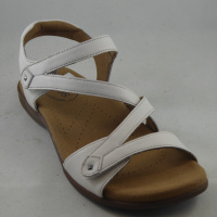 Taos TSBGTM-526-WHLR Big Time