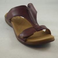 Taos TSSLDS-526-CGLR Slide Show