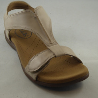 Taos TSTSHO-526-STLR The Show