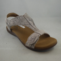 Taos TSTSGHO-526-BRSK The Show